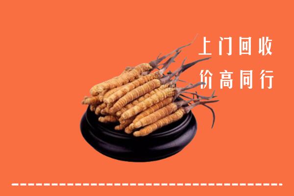 附近收购：回民区冬虫夏草回收多少钱每克